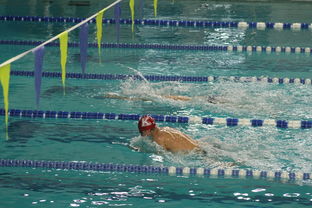 九游(jiuyou)官方网站-国际游泳精英赛中国队多人破纪录，国际游泳冠军系列赛